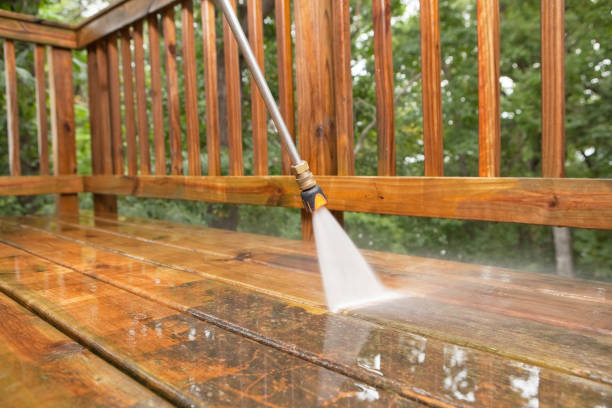 Reliable Louisa, VA Pressure washing Solutions